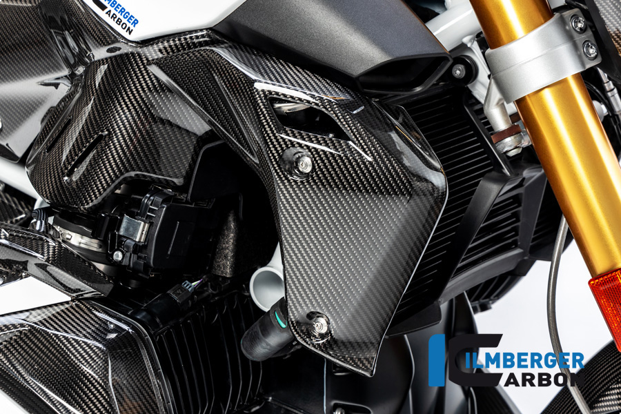 Cubierta de radiador de agua lado derecho Carbono para BMW R 1250 R (LC) 2019
