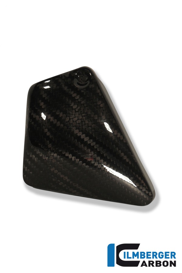 Ilmberger Carbon chasiscubierta superior lado izquierdo, Carbono