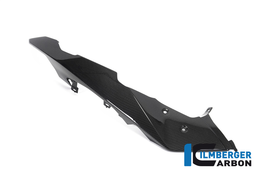 Pico anterior, delanteroe / Guardabarros delantero arriba lado izquierdo Carbono para BMW R 1250 GS Adventure a partir de 2019