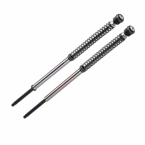 Kit de amortiguadores de horquilla BITUBO JBH para Harley Davidson