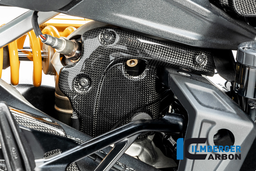 Ilmberger Carbon Protector Térmico de Escape en el Colector con ABE, brillante, para Ducati Diavel 1260 a partir del año de modelo 2019-